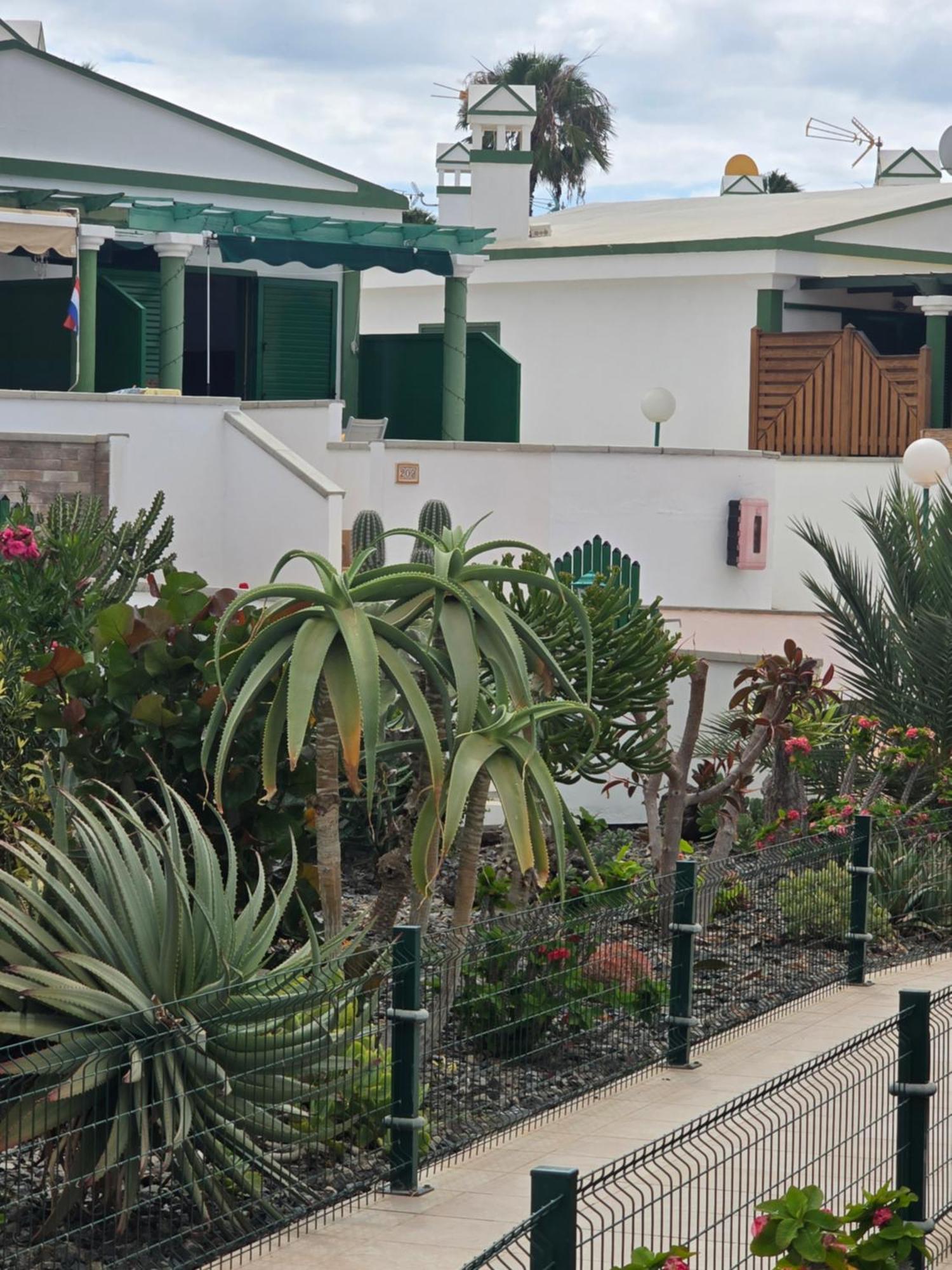 The Sunflower Maspalomas  Exterior foto